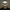 Demonische Schedelmasker - Premium Quality