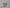 Schedelmasker – Realistisch en Gedetailleerd CoD MWII - Premium Quality